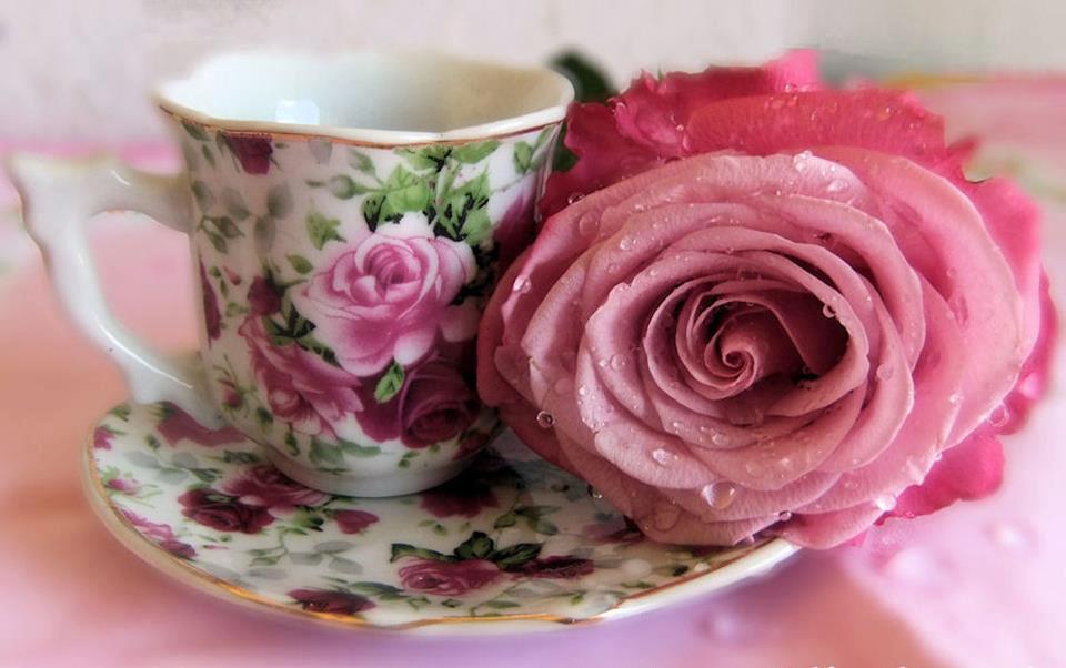 Картинка утро доброе розовое. Красивые цветы в чашке. Цветы в кружке. Розочки в чашечке.